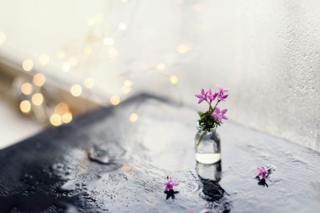 Fleur dans un vase sur un bureau arrosé de lumière